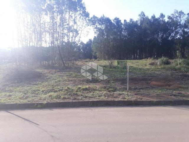 Terreno à venda em Alfândega, Garibaldi cod:9909316 - Foto 2