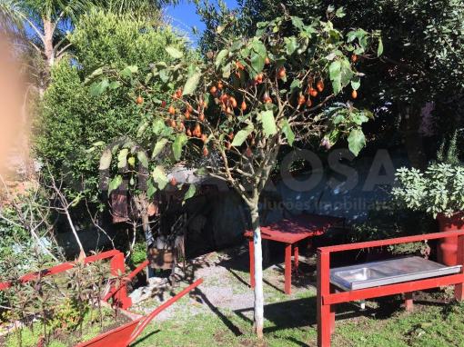 Casa à venda com 2 dormitórios em Serrano, Caxias do sul cod:1275 - Foto 12