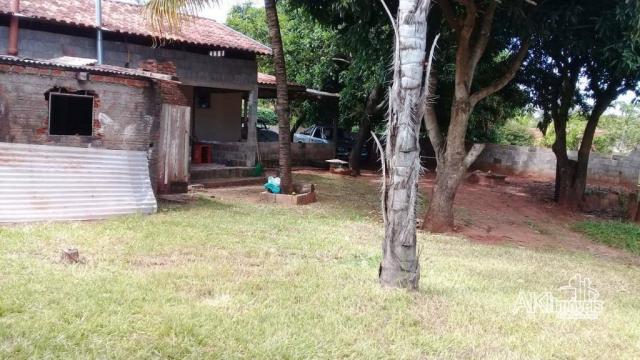 Chácara - São João - Flórida/PR - Foto 10