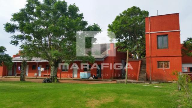Chácara à venda em Uruguai, Uruguai cod:5557 - Foto 10