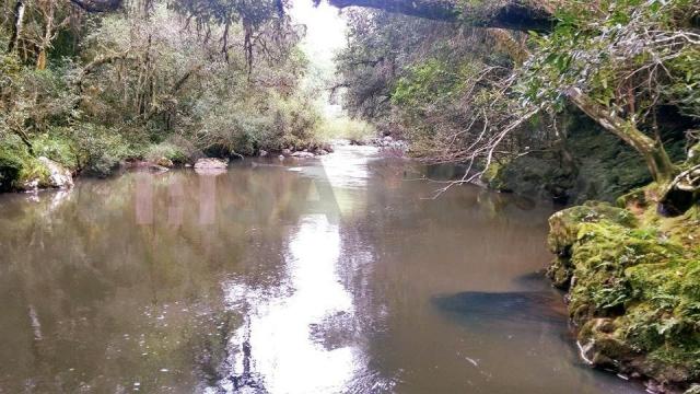 Terreno à venda em Fazenda souza, Caxias do sul cod:298 - Foto 7