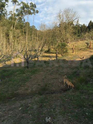 Casa à venda com 2 dormitórios em Fazenda souza, Caxias do sul cod:511 - Foto 4