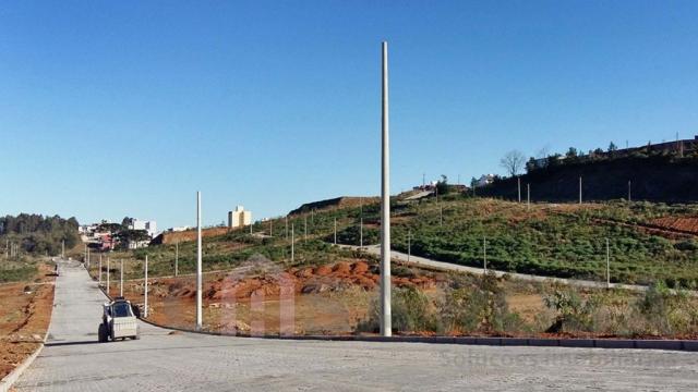 Terreno à venda em São ciro, Caxias do sul cod:2181 - Foto 4