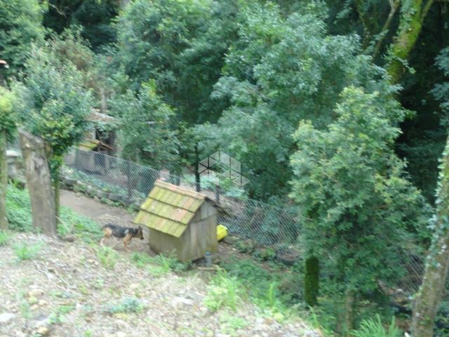 Terreno à venda em São francisco, Garibaldi cod:9904279 - Foto 6