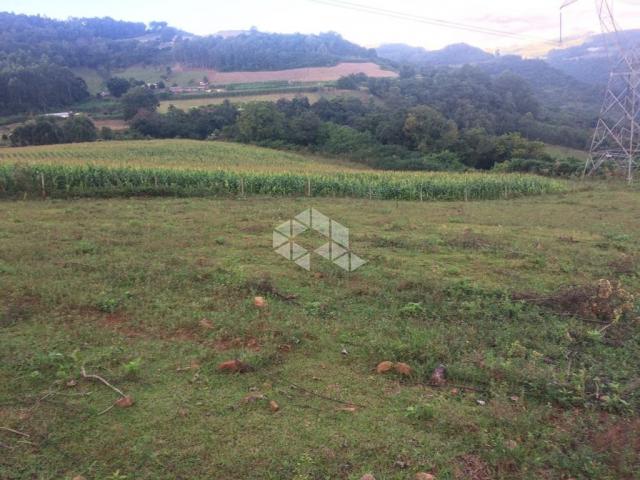 Chácara à venda em São luiz de castro, Boa vista do sul cod:9904527 - Foto 4