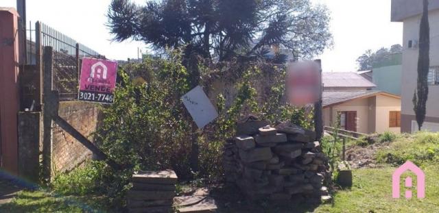 Terreno à venda em Desvio rizzo, Caxias do sul cod:2917 - Foto 3