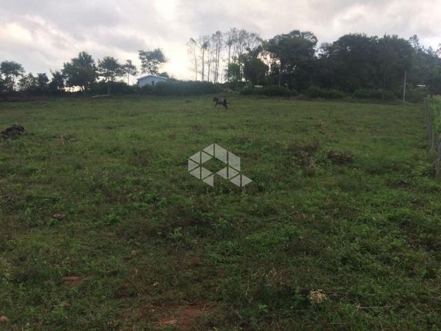 Chácara à venda em São luiz de castro, Boa vista do sul cod:9904527 - Foto 14