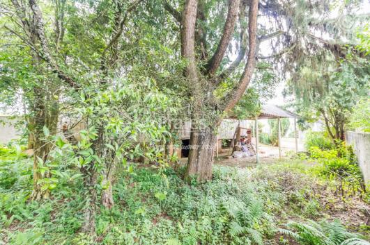 Terreno à venda em Pilarzinho, Curitiba cod:7571 - Foto 7