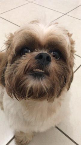 Procuro uma namoradinha!! - Foto 4
