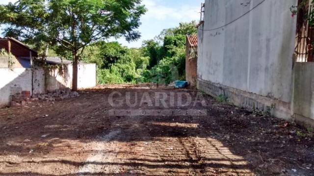 Terreno à venda em Protásio alves, Porto alegre cod:167749 - Foto 2