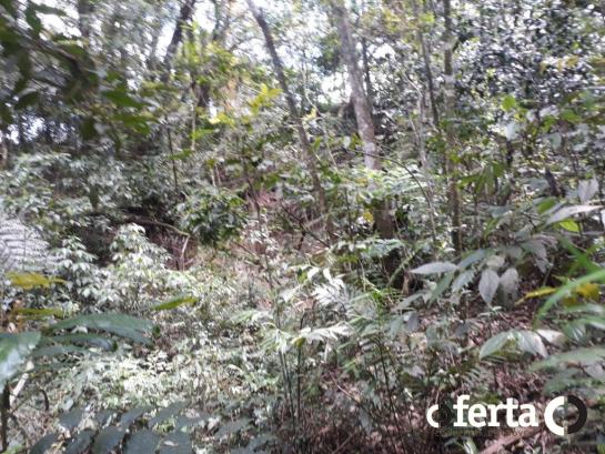 Chácara à venda em Araucária cod:566 - Foto 7
