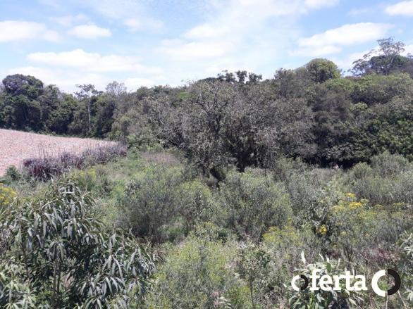 Chácara à venda em Araucária cod:566 - Foto 6