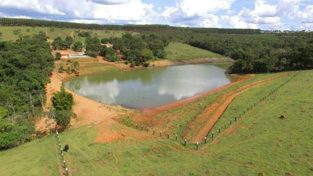 Urgente 20 hectares planalmira 35 km Anápolis. - Foto 3