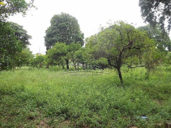 Terreno à venda em Ingleses, Florianópolis cod:394 - Foto 2