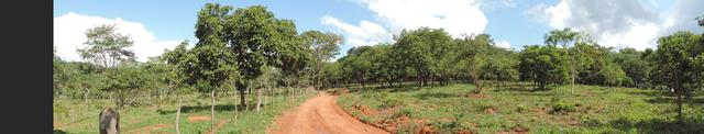 Vende-se terreno de 14 hectares