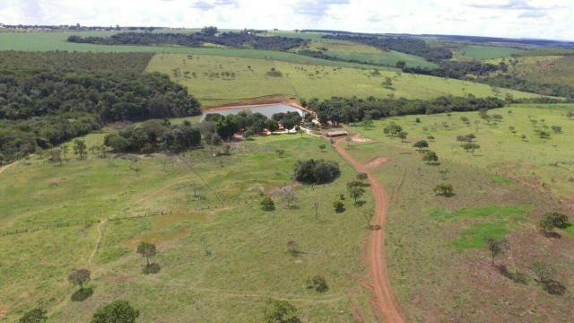 Urgente 20 hectares planalmira 35 km Anápolis. - Foto 6