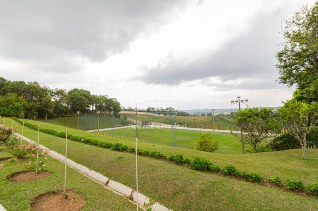 Chácara para alugar em Passaúna, Campo magro cod:8140 - Foto 20