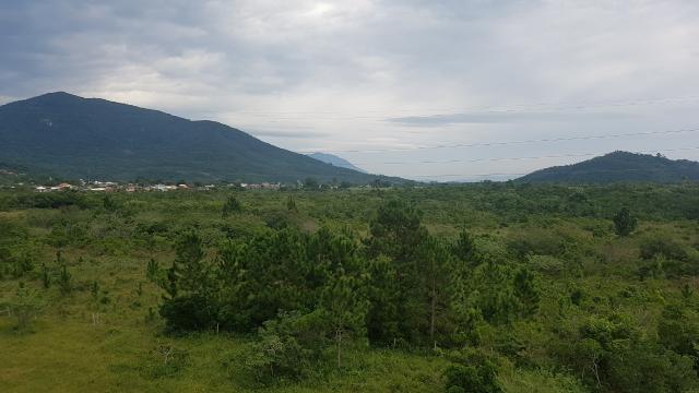 Apartamento à venda com 2 dormitórios em Ribeirão da ilha, Florianópolis cod:1953 - Foto 14
