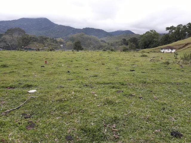 Jordão Corretores - Terrenos no centro do Guapiaçu