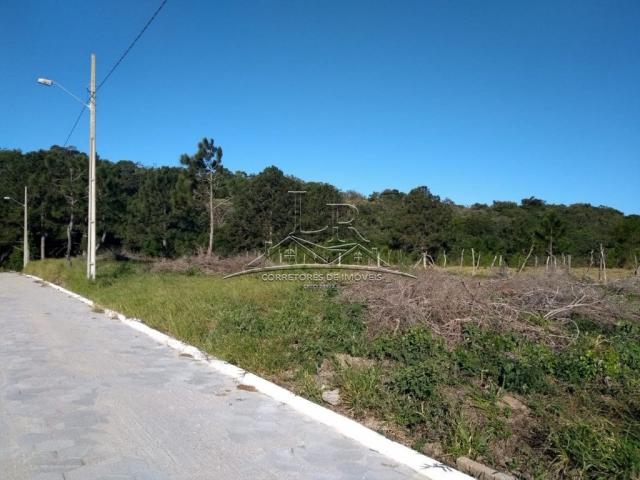 Terreno à venda em São joão do rio vermelho, Florianópolis cod:1735