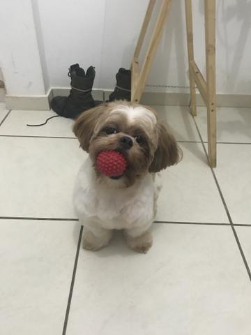 Procuro uma namoradinha!! - Foto 2