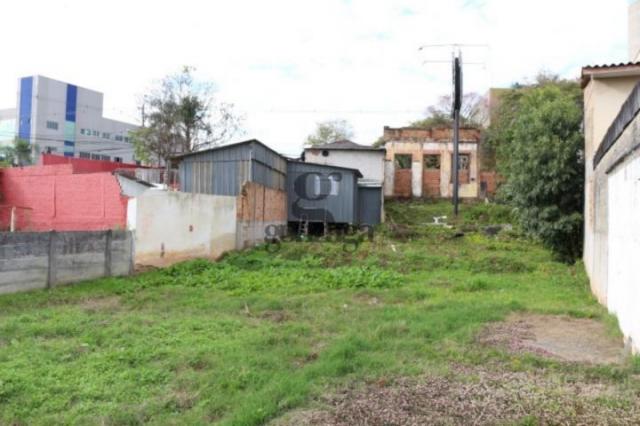 Terreno para alugar em Merces, Curitiba cod:49075005 - Foto 3
