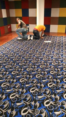 Instalação profissional de Carpetes - Foto 2