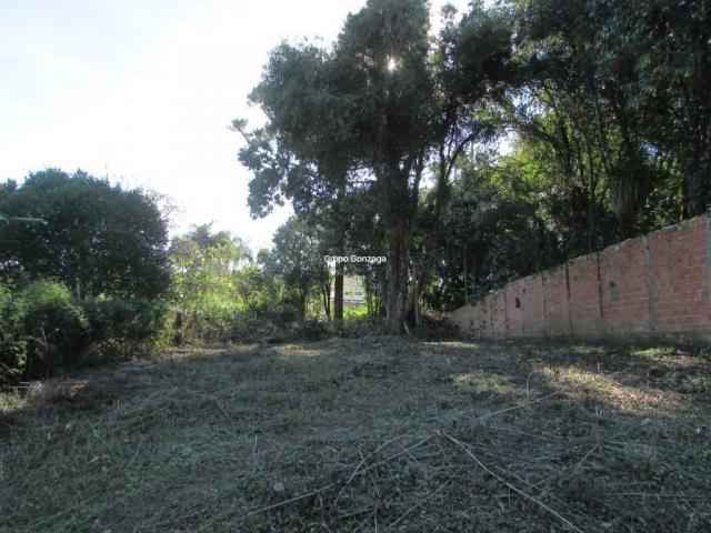 Terreno à venda em São lourenço, Curitiba cod:555 - Foto 2