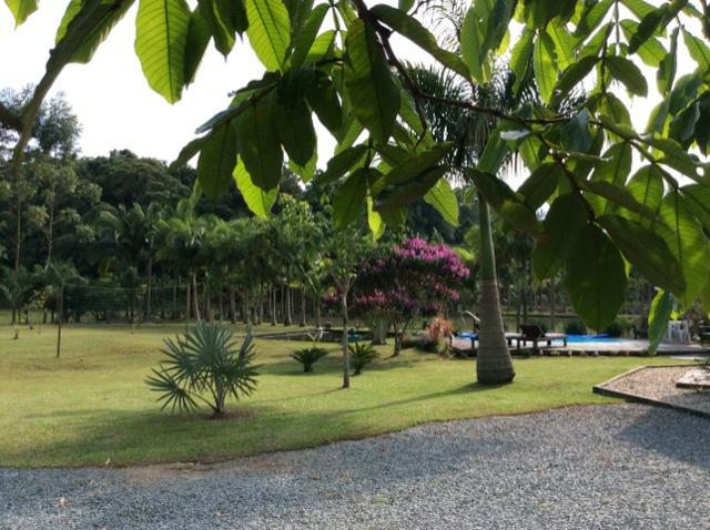 Alugo Chácara por dia em Guaramirim - Foto 10