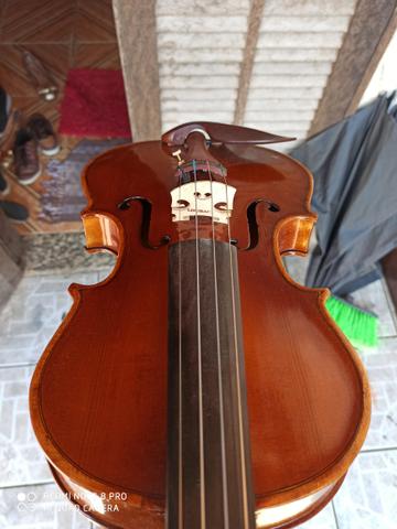 Violino - Foto 4
