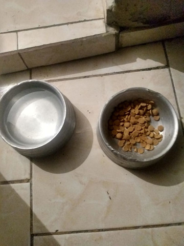 Vendo 2 pote de comida e água pra cachorro eu quero 50 reais nos 2 - Foto 4