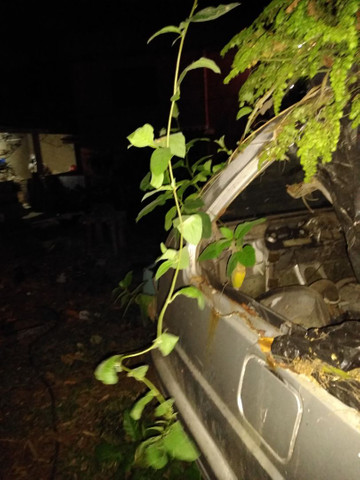 Carro parado - Foto 2