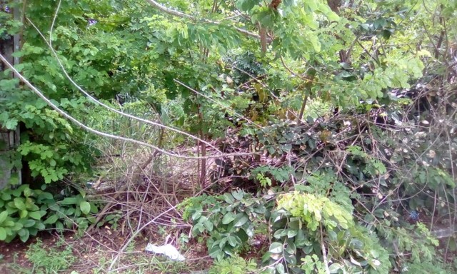 Vendo - Lotes - Arembepe!!! - Foto 5
