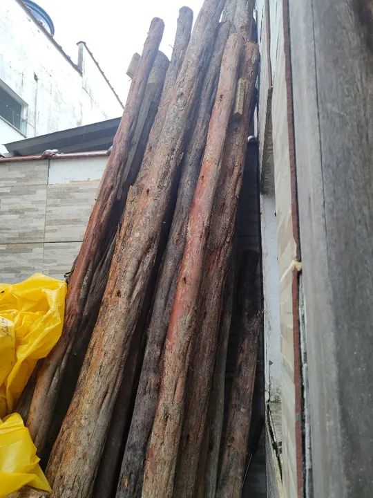 Madeiras de escoras eucalipto  - Foto 2