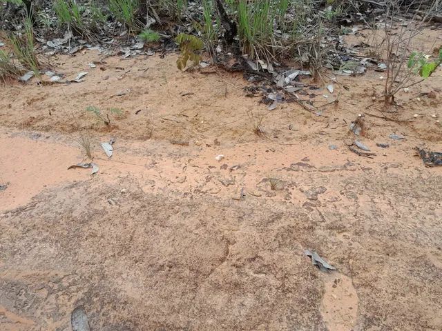Fazenda em Ponte Alta. - Foto 3