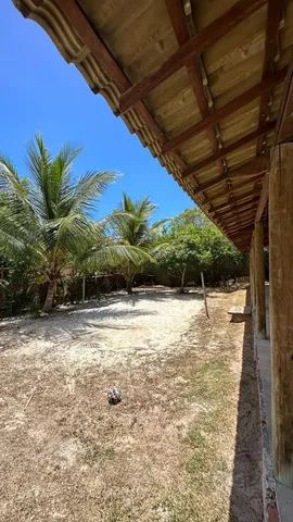 Abrantes excelente casa 3/4 - Foto 5