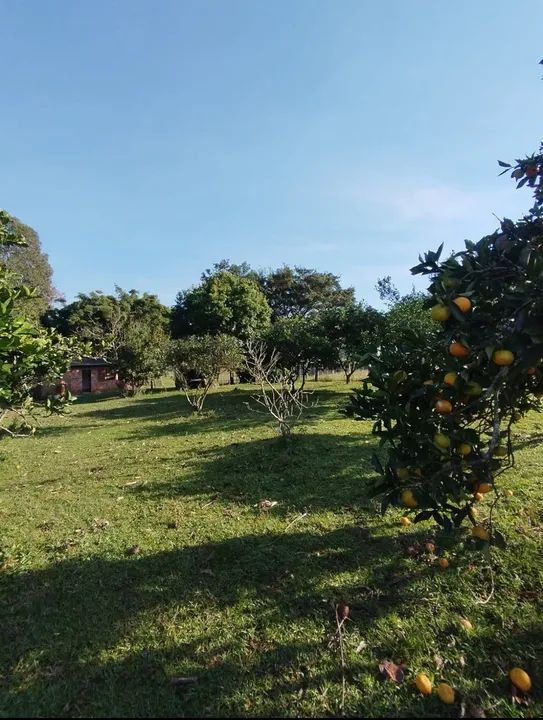 Sítio 10 hectares em São Jerônimo divisa com Arroio dos Ratos - Foto 2