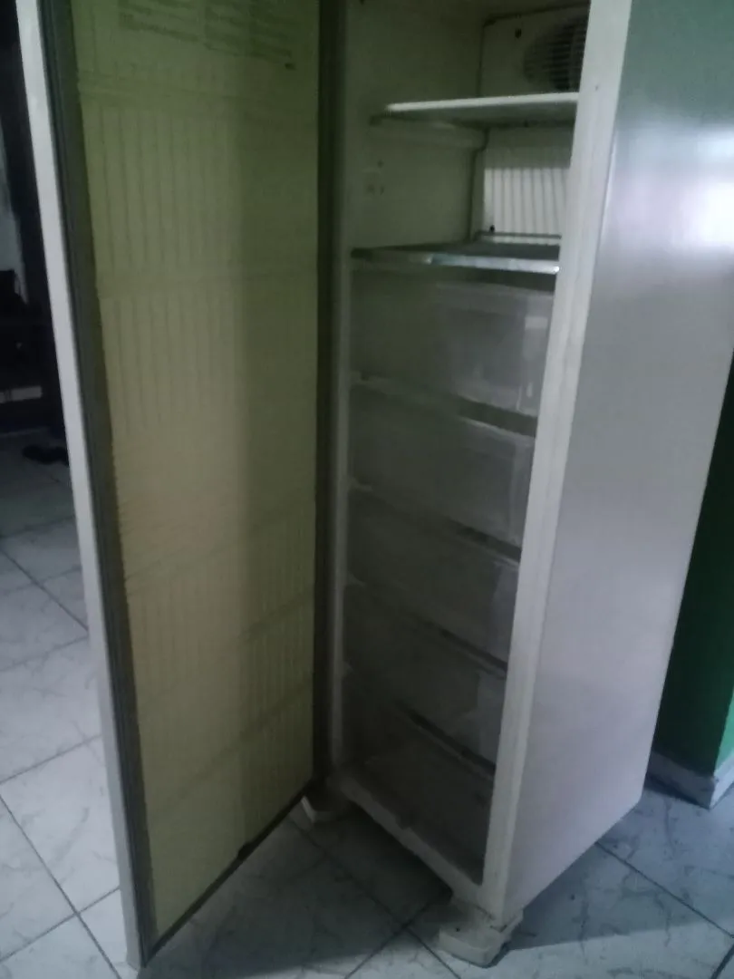 Vendo freezer froos free vertical