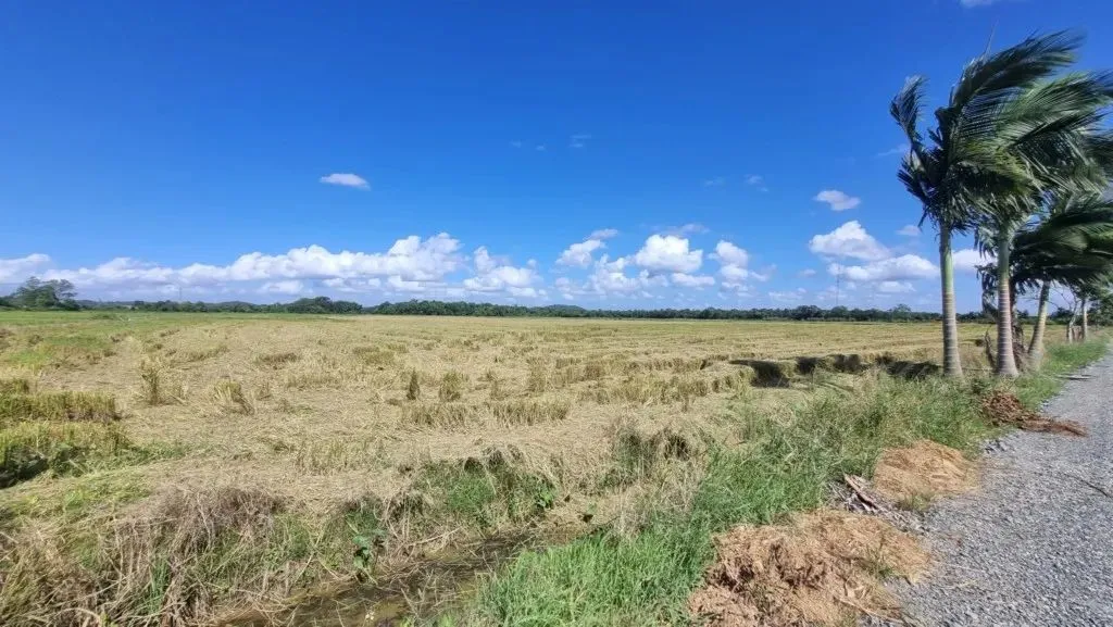 Terreno para alugar por R$ 22000.00, 10000.00 m2 - MORRO DO MEIO - JOINVILLE/SC