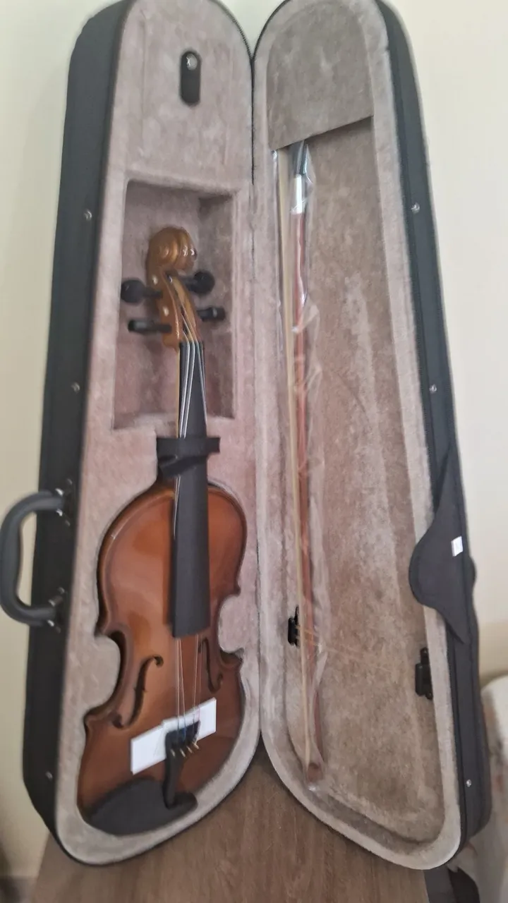 Violino Completo com Case