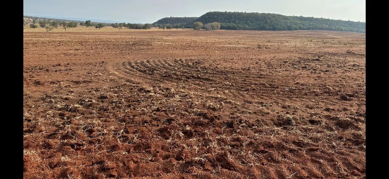Fazenda arrendamento 3.000 hec em pasto, libera acima de 500hec 1° as no outro mais  - Foto 8