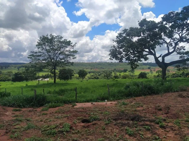 Propriedade Rural á venda em Campina Verde - MG sentido Prata.
