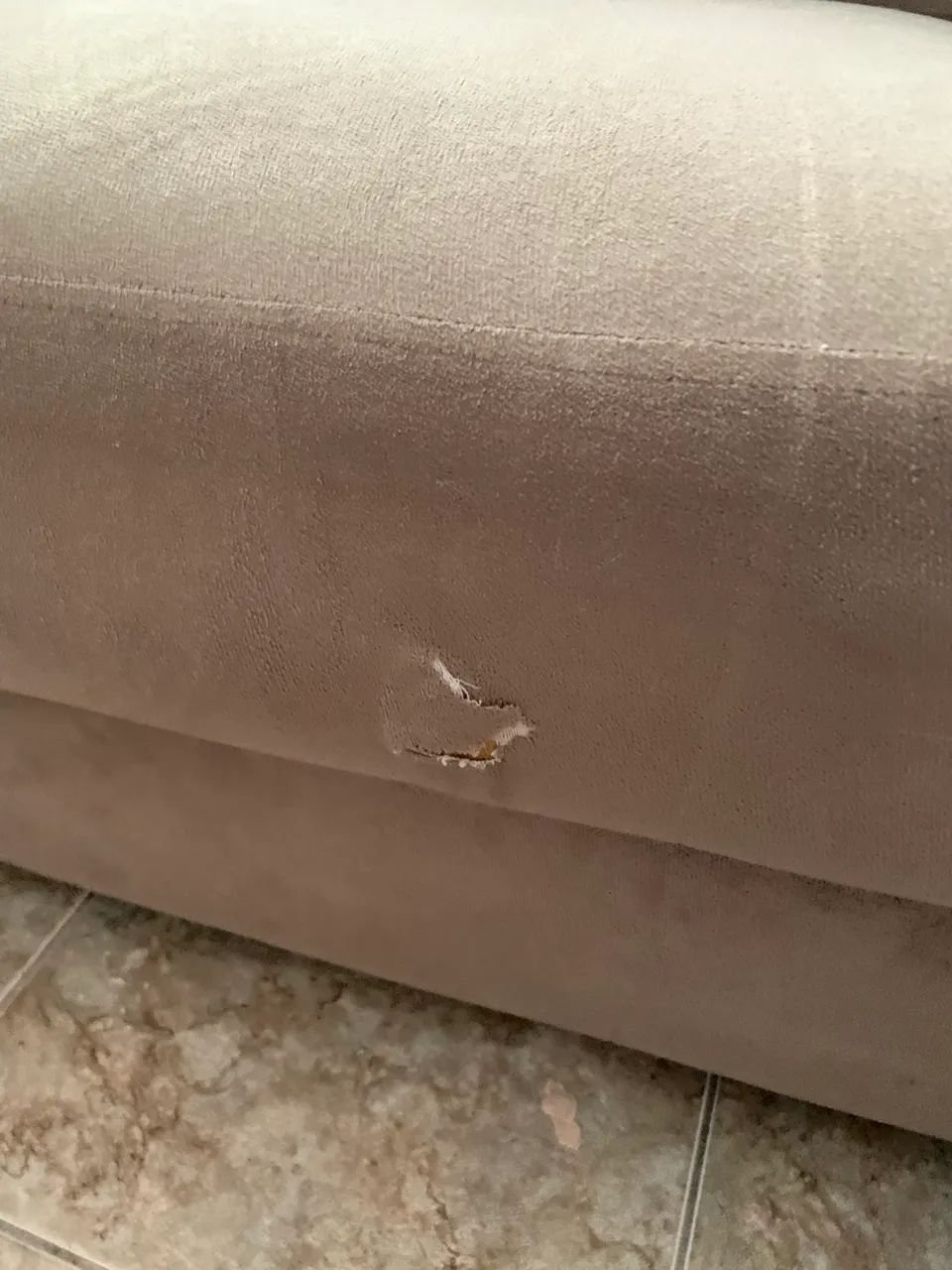 Sofa65566186851330121