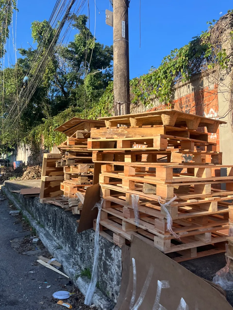 PALLET / PALETE / PALETES DE MADEIRA / DESCARTÁVEL
