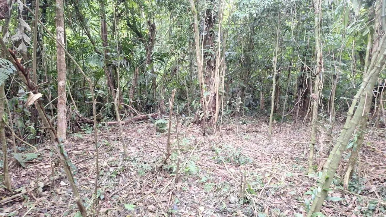 Imóvel para venda possui 1 metros quadrados em Caiubura - Bertioga - SP - Foto 4