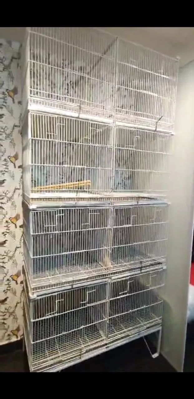 Voadora com 4 andares.  - Foto 2