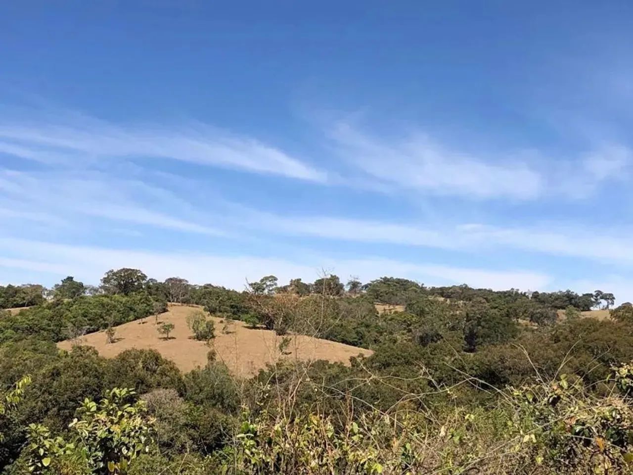 Sítio à Venda em Perdizes/MG com 3,50 Alqueires - Foto 4