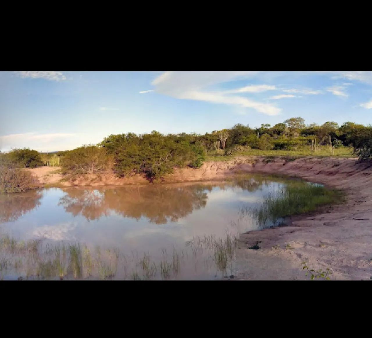Fazenda 98 Tarefas Brejões-BA Excelente Terreno Oportunidade Negócio Rural roça - Foto 6