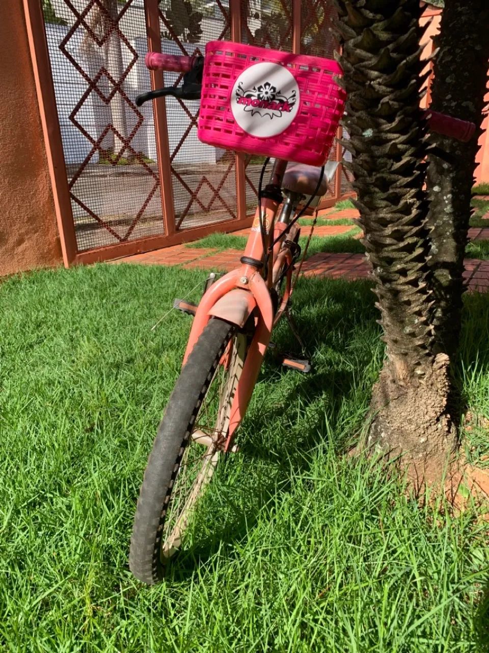 Bicicleta Infantil para Meninas
