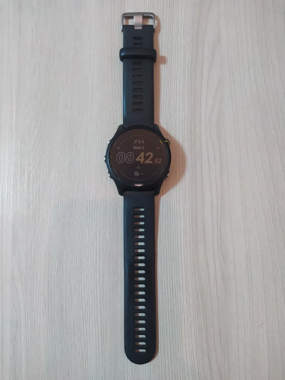 Garmin Forerunner 255 music